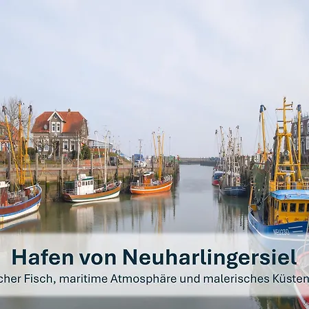Stedesdorf, Nordsee 'moewe' *